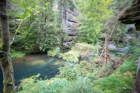 Landscape of a mountain river in the forest. The river flows through the gorge.の写真素材