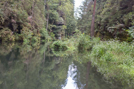 A small river flows through the forest. The trees are reflected in the water.の写真素材