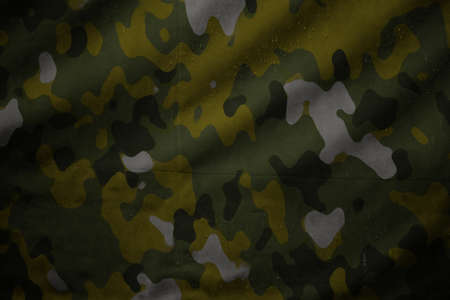 army camouflage fabric tarp textureの写真素材