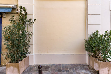 Empty space for your text in front of a white wall with plantsの写真素材
