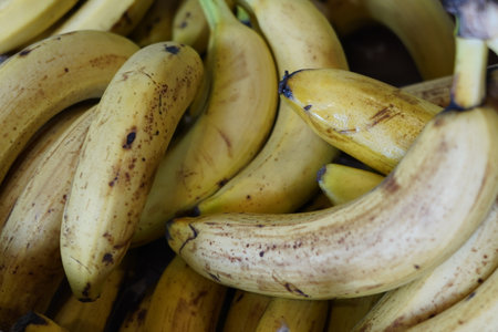 Bunch of bananas in a market stall, close up view.の写真素材