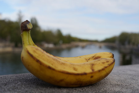 Ripe banana on a background of the river. Selective focus.の写真素材