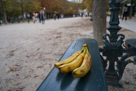 Bunch of bananas on a bench in Paris, France. Selective focus.の写真素材