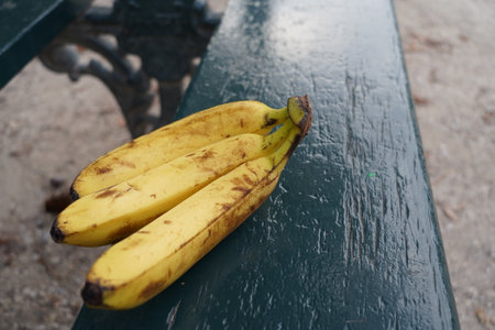 Bananas on a bench in the park. Selective focus.の写真素材