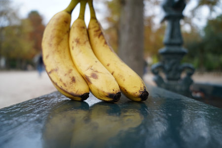Bunch of bananas on a bench in Paris, France. Selective focus.の写真素材