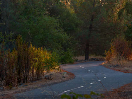 Jedediah Smith Memorial Trail in autumn with fall colors.The Paved Bike Path runs from Sacramento to...