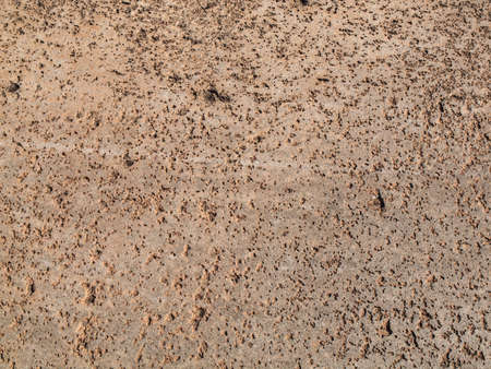 aged Textured surfaceの写真素材