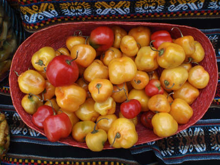Bunch of different Colored Peppers sit in a basket at the Ferry Building Farmers Market in San Francisco, California  の写真素材