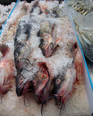 Close up of frozen Cat Fish on display at a Supermarketの写真素材
