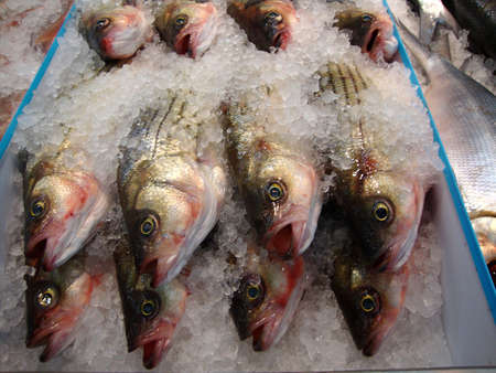 Clese up of frozen fish on display at a Supermarket                               の写真素材