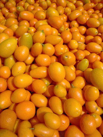 Pile of Organic Kumquats on display at a farmers market in San Francisco.の写真素材