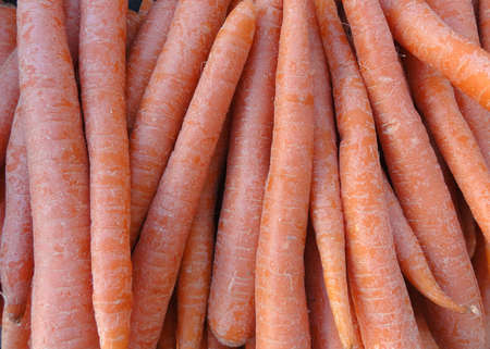 Close-up of Row large Carrots on display at farmers marketの写真素材