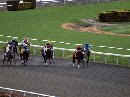 ALBANY, CA - JANUARY 29: Horses race round track as the field of horses begin to spread at Golden Gate Fields taken January 29, 2011 Albany  California. のeditorial素材