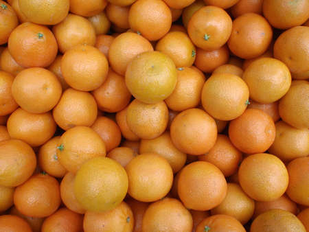 Kumquats for sale at a Farmers Marketの写真素材