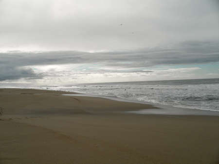 Birds fly around Half Moon Bay Beach.の写真素材