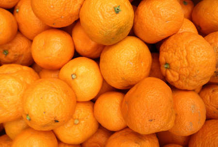 Tangerines at Farmers Market in San Franciscoの写真素材
