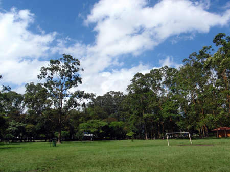 Soccer Goal in Park with large trees in San Jose, Costa Rica.の写真素材