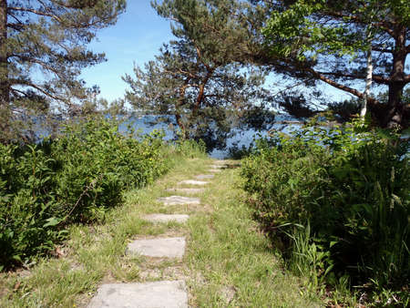 Stepping stone pathway to the water in the woods of Maine.の写真素材