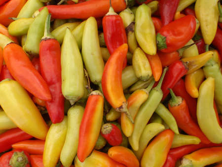 Hot Peppers of a varity of colors at Farmers Market in San Francisco, California.の写真素材