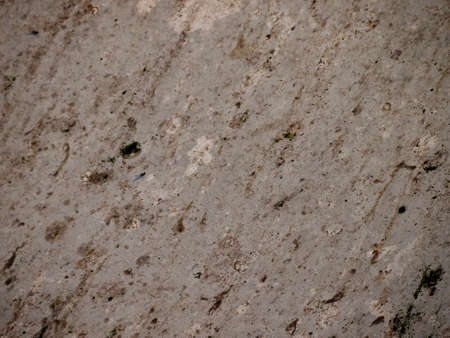 Stone Pattern Texture with holes and grooves, good for backgrounds の写真素材