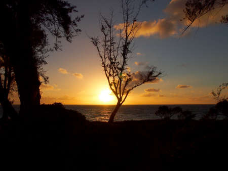 Sunrise over ocean behinds trees in Waimanalo, Oahu, Hawaii の写真素材