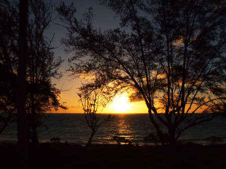 Sunrise burst over the ocean on Waimanalo Beach on Oahu, Hawaii with tree silhouettes の写真素材