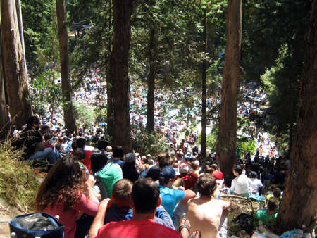 SAN FRANCISCO - AUGUST 22: 73rd Stern Grove Festival: Crowd of people watch show from up in woods at outdoor concert. August 22, 2010 in San Francisco CA.のeditorial素材
