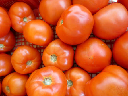 Beef Steak Tomatoes for sale at farmers market in Honolulu, Hawaii.の写真素材