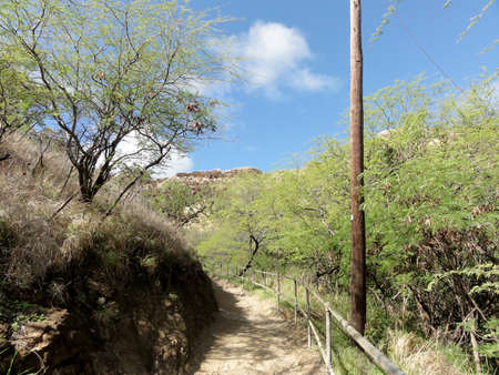 Path up trail to the top of Diamond Head Crater.  Path is surrounded by bushes and trees.の写真素材