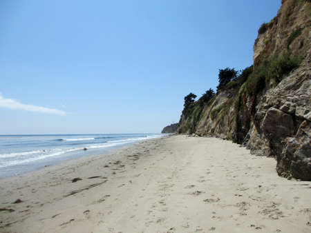 Waves lap on the beach next to tall cliff with trees on top in Santa Barbara, California.の写真素材