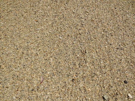 Grains of Kahala Beach Sand, shells, rocks on Oahu, Hawaii. の写真素材