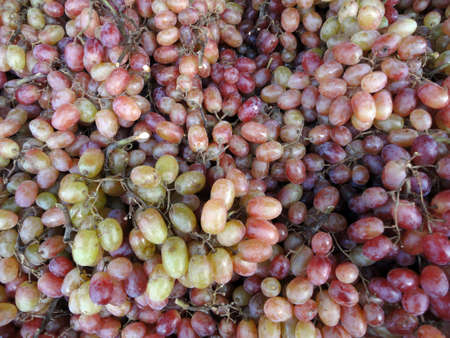 Large pile of Red Green grapes on display at Farmers Market in San Francisco.                               の写真素材
