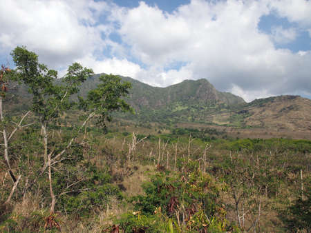  Trees, brush, and dry grass with Mountain range in the distance waianae valley on the trail to Mt. Ka'ala on Oahu, Hawaii.の写真素材