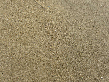Beach Sand in Half Moon Bay and bits of shells. の写真素材