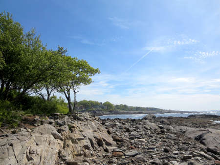 Rocky beach with trees at Ryefield Cove with clouds in the sky on Peaks Island in Casco Bay, Maine.の写真素材