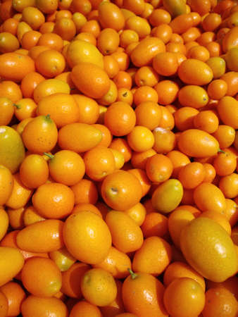 Pile of Organic Kumquats on display at a farmers market in San Francisco. の写真素材