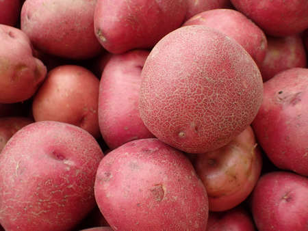 Pile of Red Potatoes for sale at farmers market in Maui, Hawaii.の写真素材