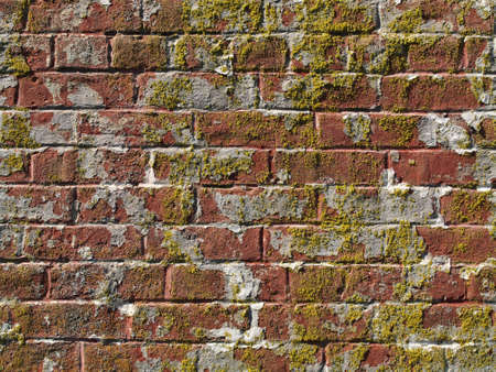 Old worn red brick wall with moss growing.の写真素材