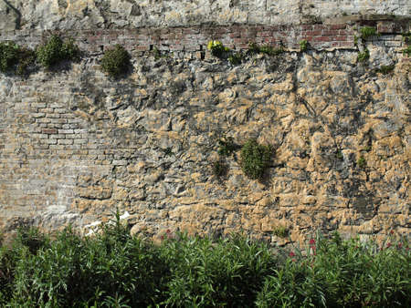 Green plants grows on old stone rock wall which is layers of different materials on Alcatraz Island in San Francisco Bay, California.の写真素材