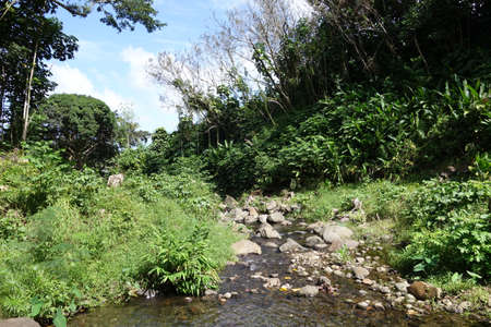 He'eia Stream filled with large boulders, rocks, and surrounded by trees and plants on Oahu, Hawaii.の写真素材