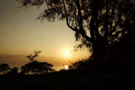 Early Morning Sunrise through the trees over an island and ocean on Waimanalo Beach on Oahu, Hawaii...