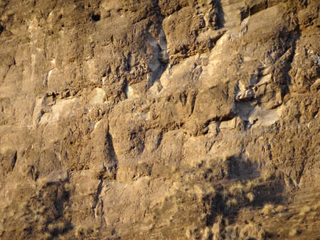 Diamond Head Crater Mountain Close-up with cracked rocks and plant brush.の写真素材