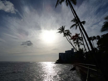 Sunsets over Waikiki waters as waves crash on sea wall at Makalei Beach Park with Coconut trees hanging over the ocean on Oahu, Hawaii.の写真素材