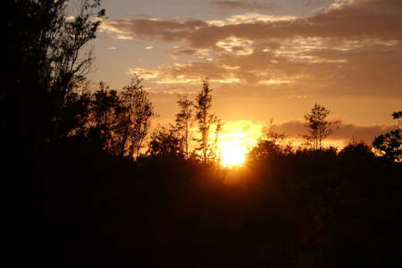 Sunset through the trees on the North Shore with clouds in the sky on Oahu.の写真素材