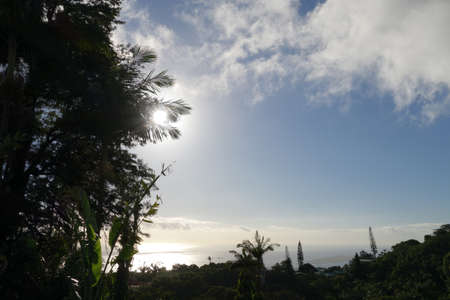 Sun begins to set over the ocean shinning through the tree and clouds on Oahu, Hawaii.の写真素材