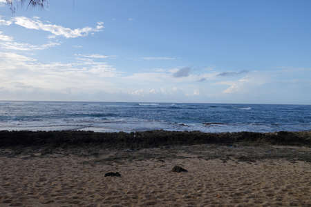 Beach at Turtle Bay, Oahu Island North Shore, Hawaiiの写真素材