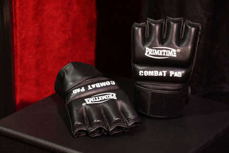 SAN JOSE - MARCH 28: WWE Brock Lesnar Primetime Combat Pad Gloves from Wrestlemania 30 at WWE Axxess event at the McEnery Convention Center in San Jose, California on March 28, 2015.のeditorial素材