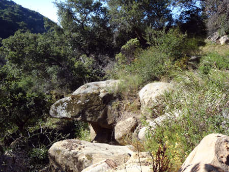 Eagle shapes rock face in the Hills of Santa Barbara, California among bushes and trees.の写真素材