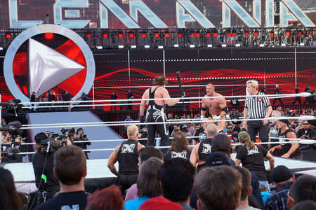 SANTA CLARA - MARCH 29: Triple H flexes muscles as Sting holds bat in ring during match with NWO and DX on the outside at Wrestlemania 31 at the Levi's Stadium in Santa Clara, California on March 29, 2015.のeditorial素材