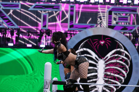SANTA CLARA - MARCH 29: WWE Diva Paige and AJ Lee stands on top the ropes in ring during entrance before tag match at Wrestlemania 31 at the Levi's Stadium in Santa Clara, California on March 29, 2015.のeditorial素材